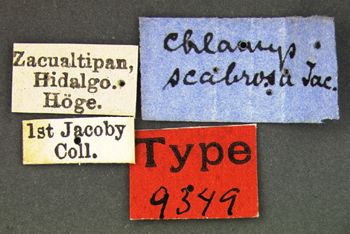 Media type: image; Entomology 9349   Aspect: labels